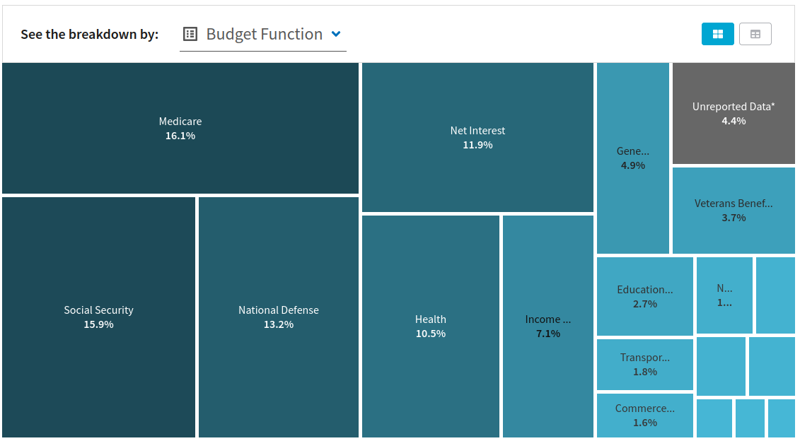 a visual breakdown of the 2024 budget by function